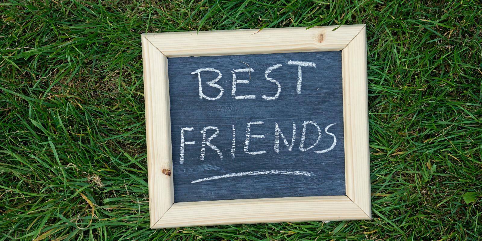 Your Best Friend Voice